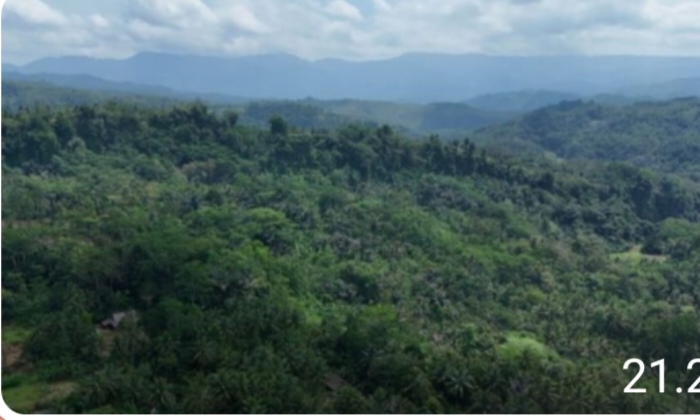 Kelompok Pegiat Anti Korupsi Endus Aroma Pelanggaran Hukum Pada Proses Lahan Kompensasi PT BSI Screenshot_20260227_214409.jpg