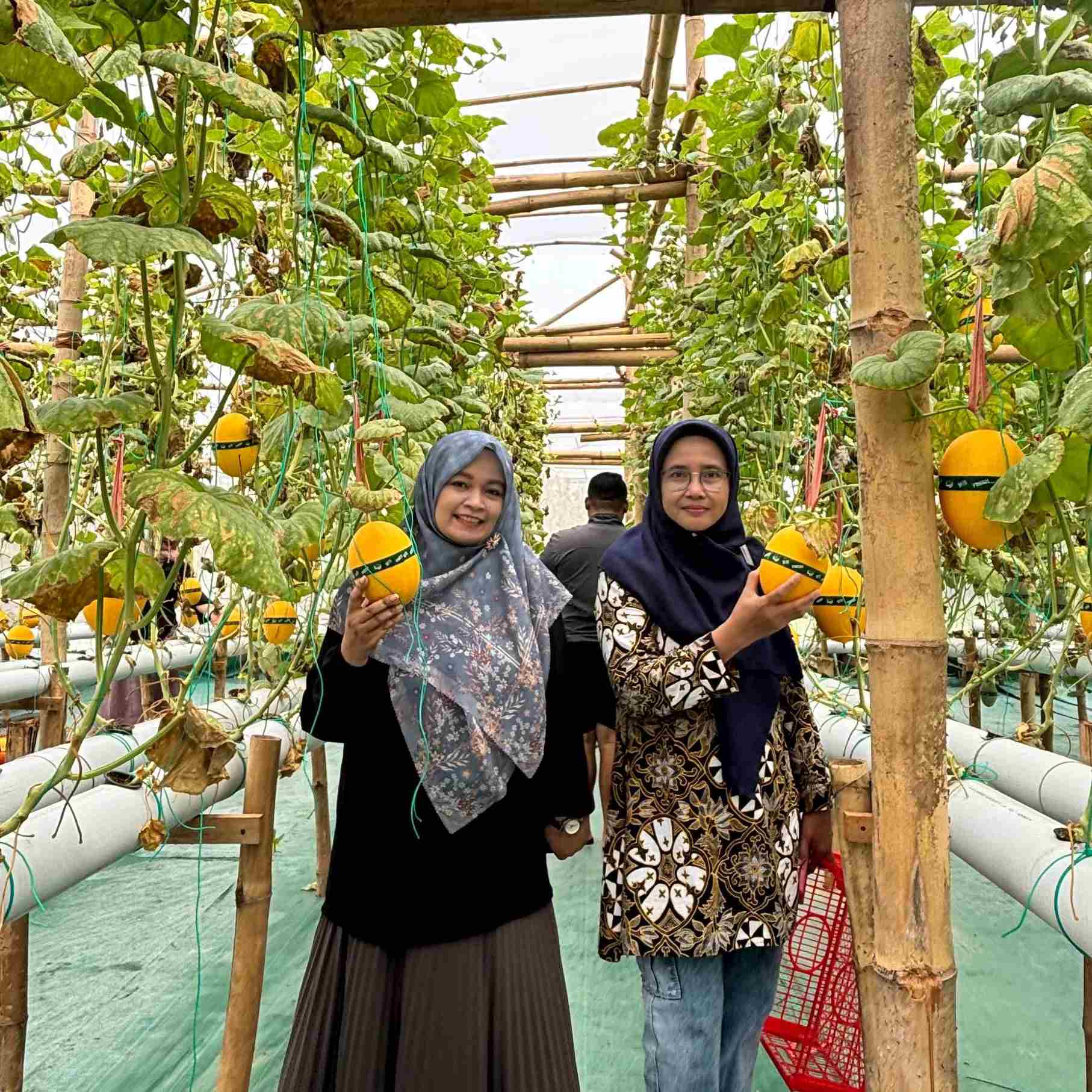 Panen Ketapang Menik, BUMDes Gading Makmur Tuai Pujian Camat Sukodono _IMG_000000_00000033.jpg