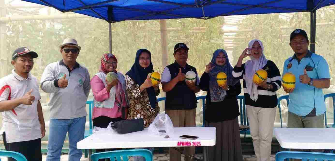 Ketapang Menik Sukses, BUMDes Gading Makmur Tuai Pujian Camat Sukodono _IMG_000000_00000034.jpg