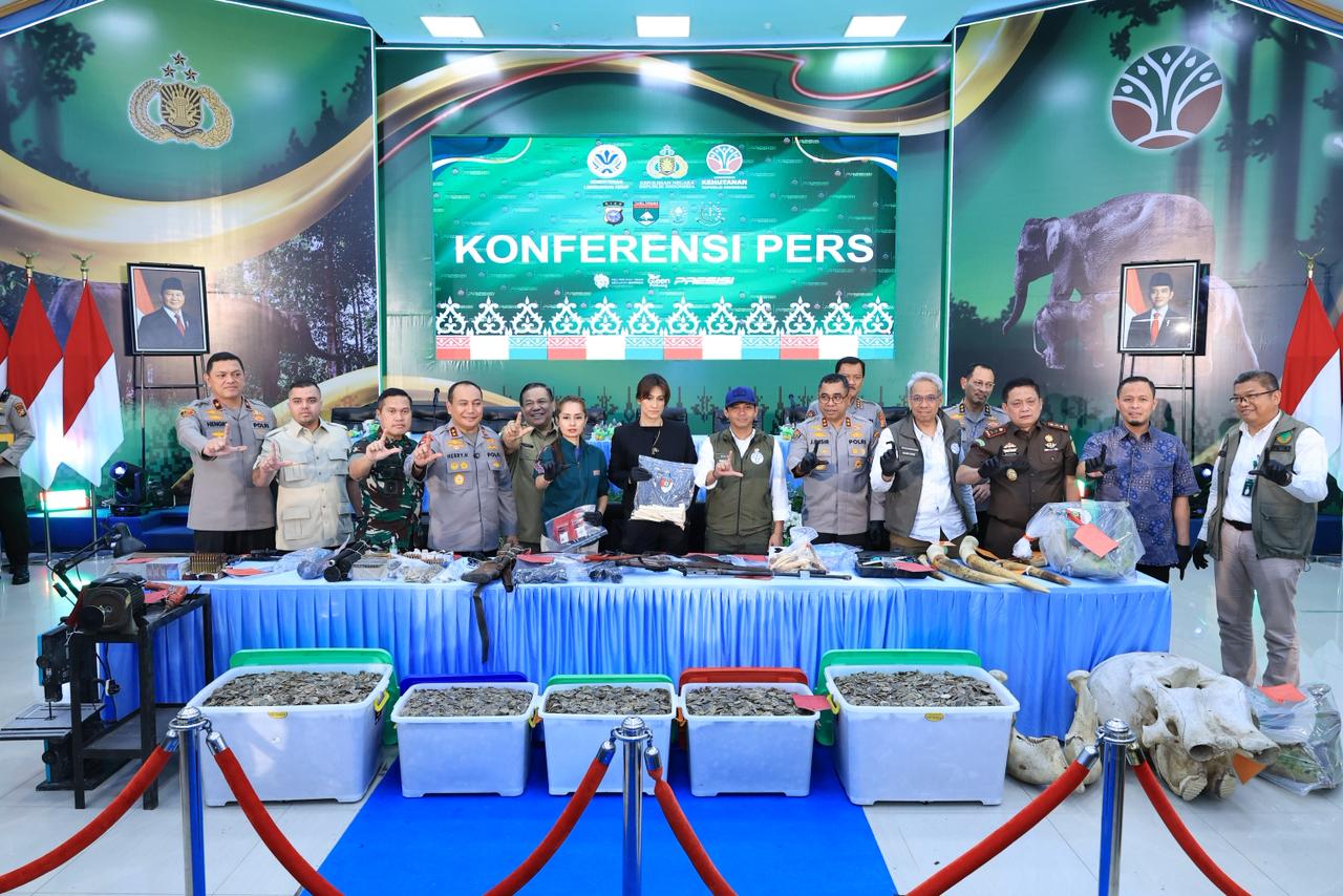 Polda Riau Berhasil Bekuk 15 Tersangka Jaringan Perburuan Gajah Sumatera