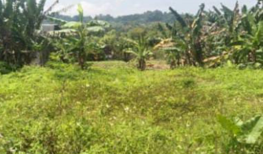 Miris! Delapan Tahun Tanah Letter C Tak Bersertifikat, Warga Banyumanik Terjepit HGB Perusahaan